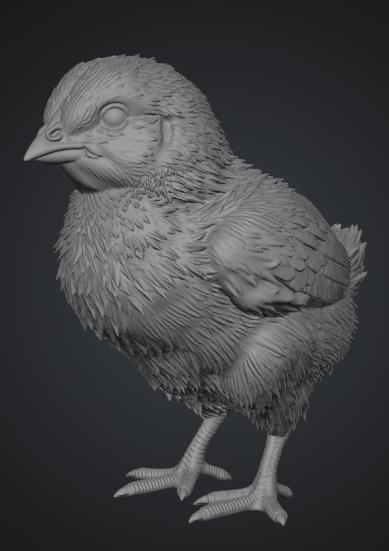 pollito 1