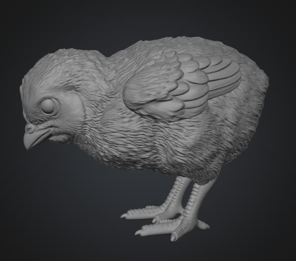 pollito 2