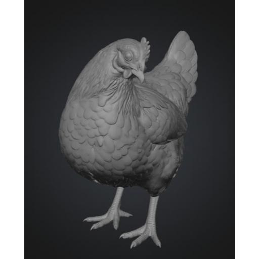 Gallina mirando a la izquierda