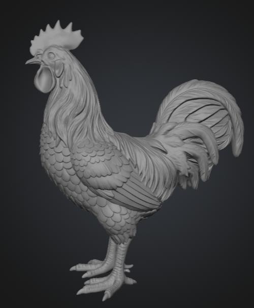Gallo de pie