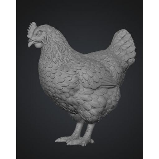 Gallina de pie 2