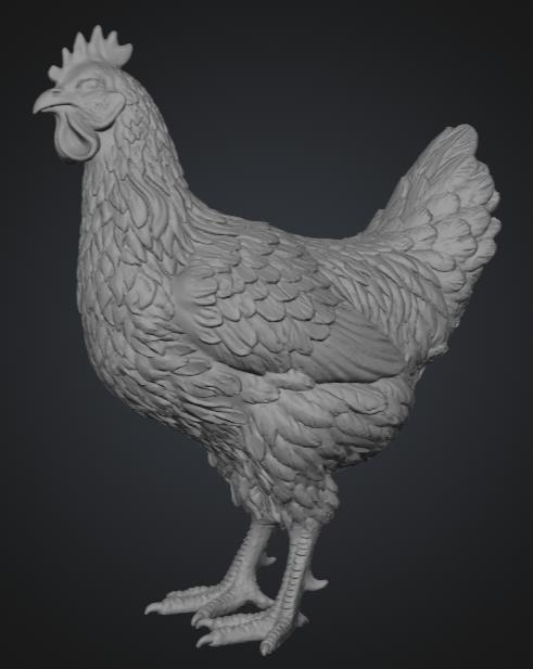 Gallina de pie 1
