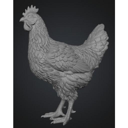 Gallina de pie 1