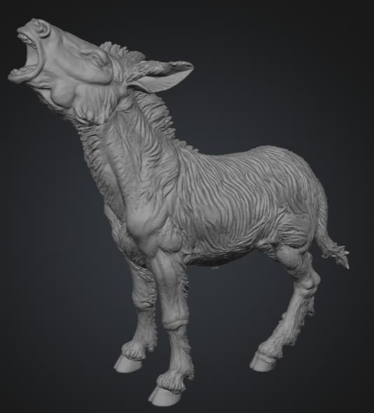 Burro rebuznando