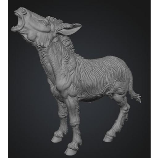 Burro rebuznando