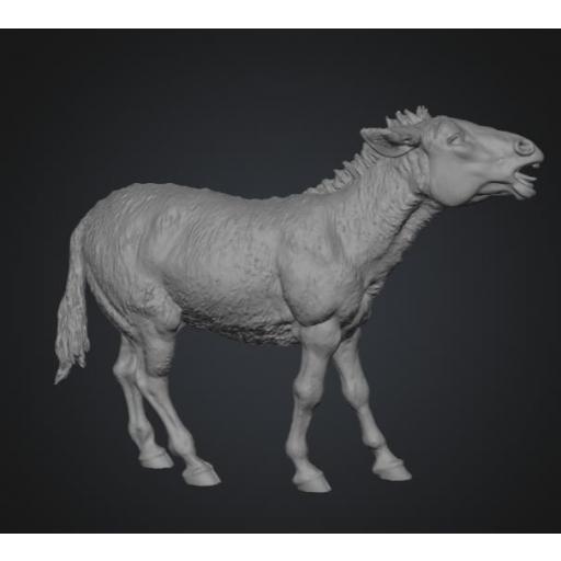 Burro resistiendose