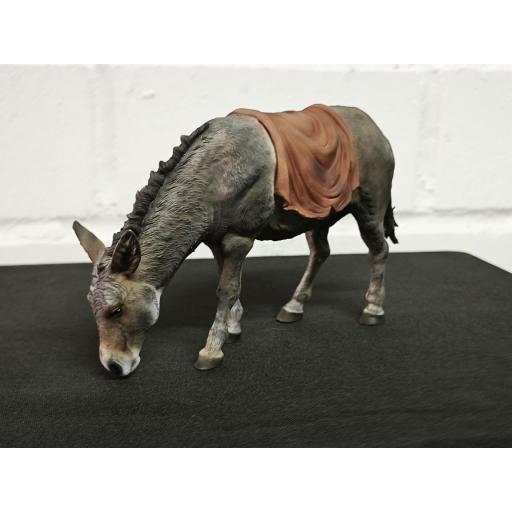 Burro comiendo con trapo al lomo [0]