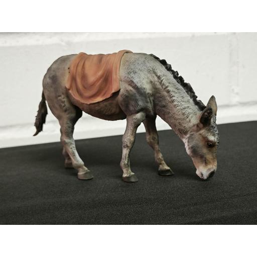 Burro comiendo con trapo al lomo [1]