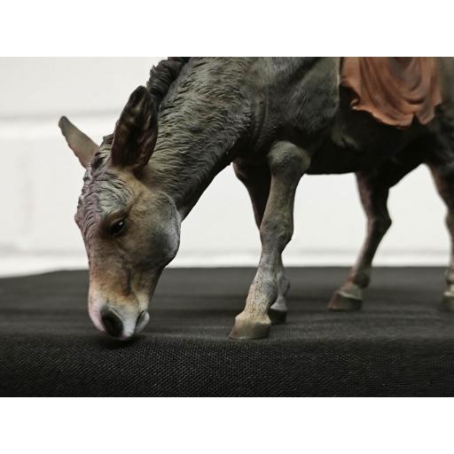 Burro comiendo con trapo al lomo [2]