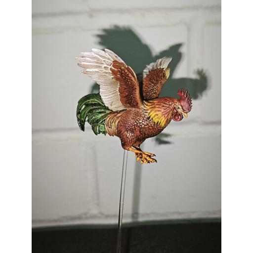 Gallo volando 1