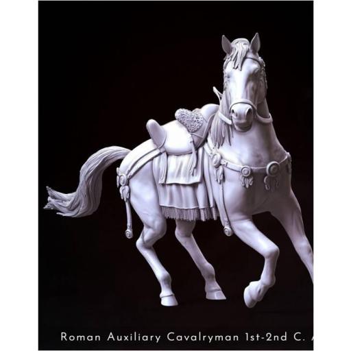 Roman Auxiliary Cavalryman 1st-2nd C. A.D. Riding with Rome! Caballo