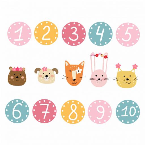 Camiseta Infantil Personalizada Cumpleaños Animalitos [1]