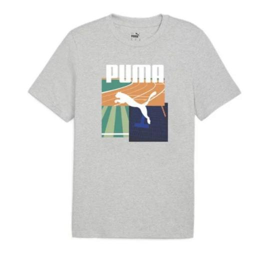 Camiseta Puma hombre GRAPHICS Summer Sports Tee. Grey 627909 04