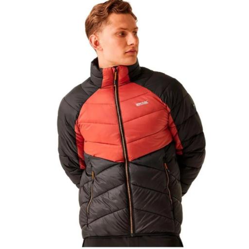 Chaqueta Acolchada REGATTA DALENT. RMN248 red ochre/black