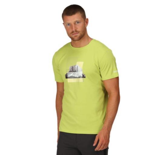 Camiseta Estampada Regatta Fingal VII. Green Algae RMT272