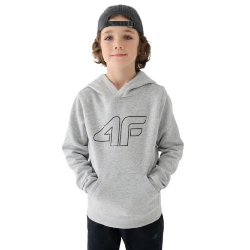 Sudadera Capucha Niño 4F SM1292. Gris