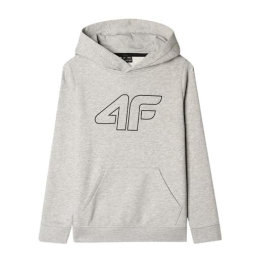 Sudadera Capucha Niño 4F SM1292. Gris [3]