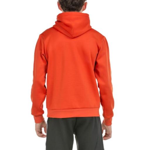 Sudadera Capucha Niño +8000 ALBANI J. Paprica [3]