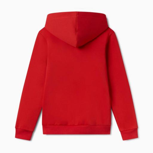 Sudadera Niño PUMA FELPA ESS+ GRAPHIC HOODIE. 686897 11 Rojo [1]