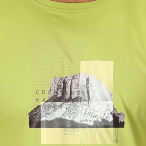 Camiseta Estampada Regatta Fingal VII. Green Algae RMT272 [3]