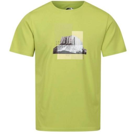 Camiseta Estampada Regatta Fingal VII. Green Algae RMT272 [2]