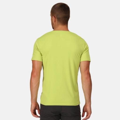Camiseta Estampada Regatta Fingal VII. Green Algae RMT272 [1]