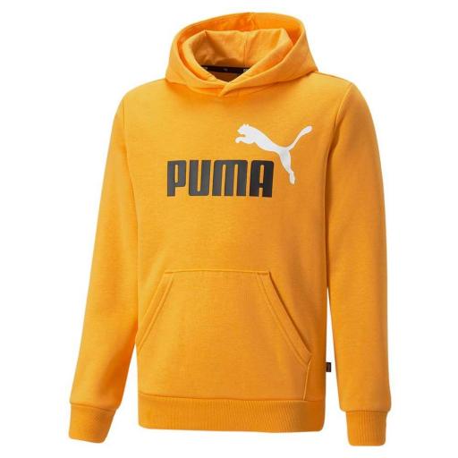 Sudadera juvenil con capucha PUMA Essentials+ Two-Tone Big Logo 586987