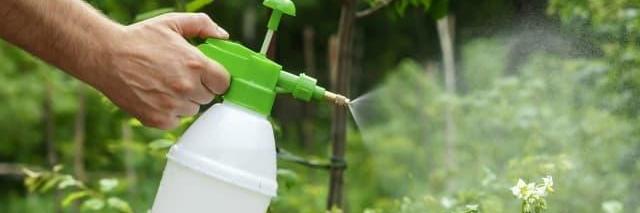 Insecticidas