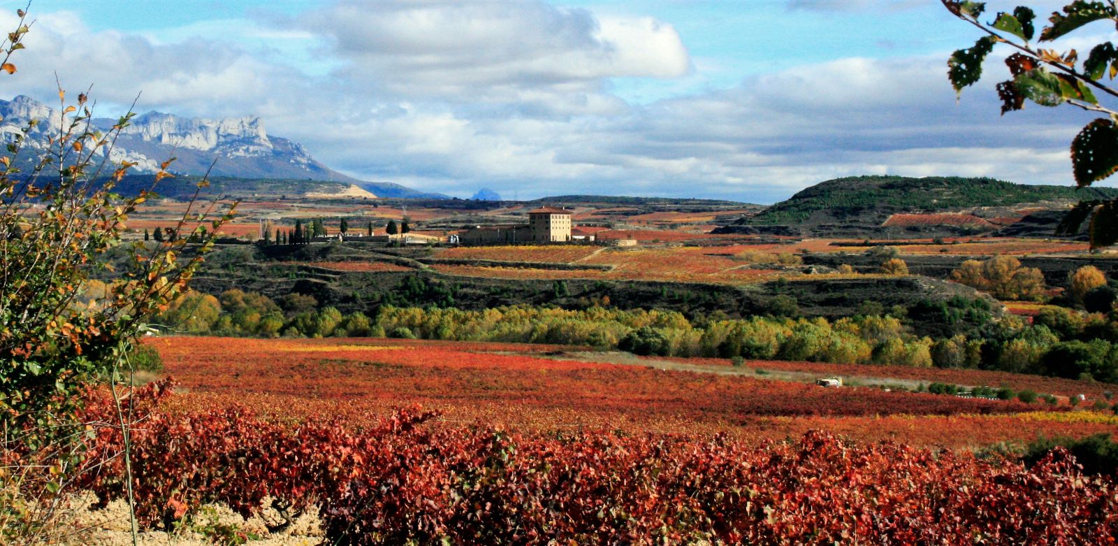 Bodega Classica Exterior (7).jpg