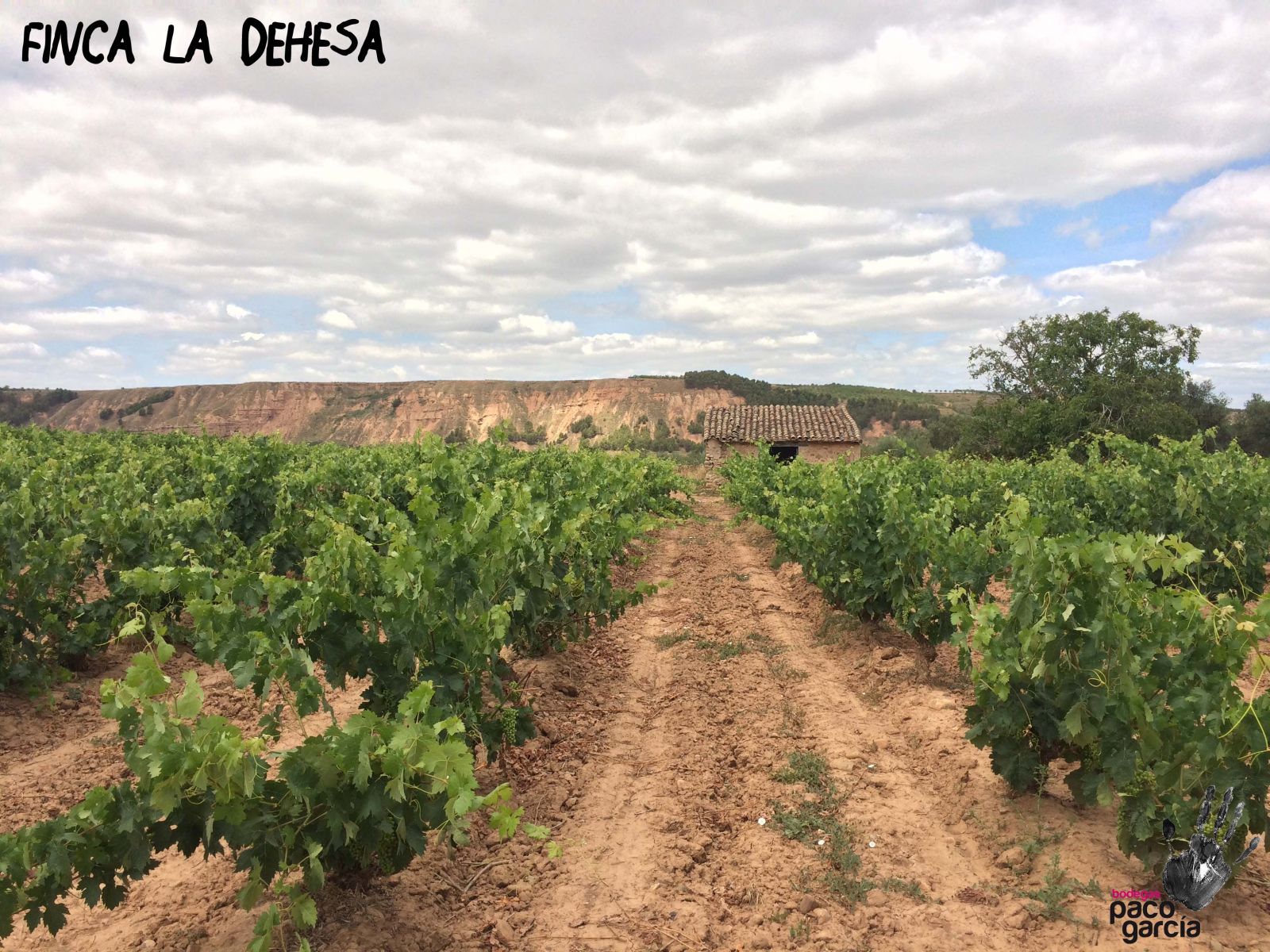 La Dehesa. Paco García.jpg