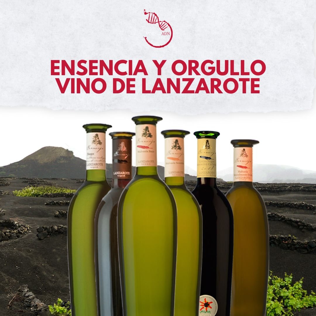 vinos de contraste.jpg
