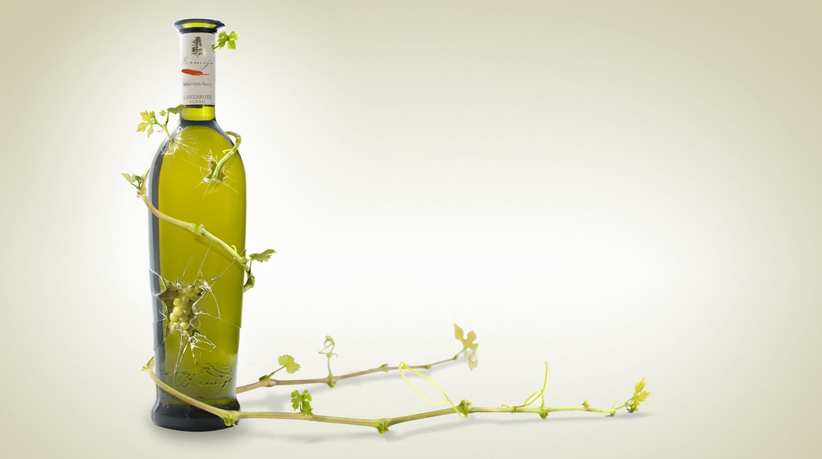 Vinos-vinos-de-Lanzarote co.jpg