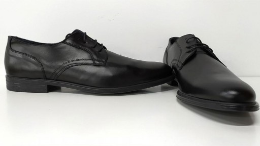 Blucher negro [1]