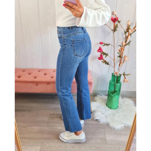 Jeans Carlota Desflecados [3]