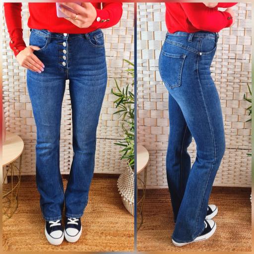 Jeans Virginia Botones [0]