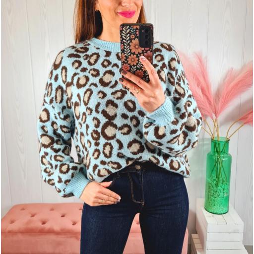 Jersey Azulito Print