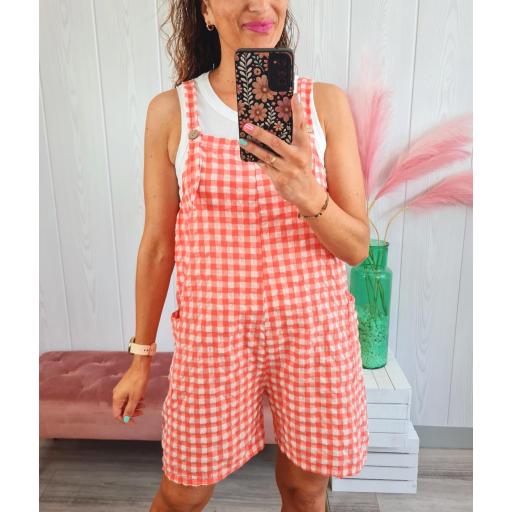 Pichi Coral Cuadros [2]