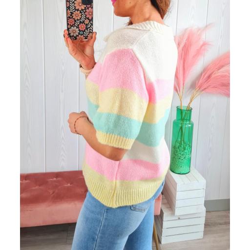 Polo Rayas Colores [3]