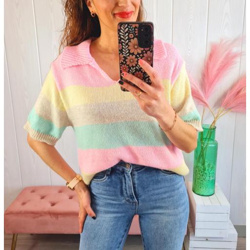 Polo Rayas Colores [3]