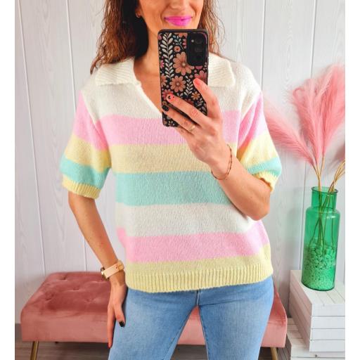 Polo Rayas Colores [1]