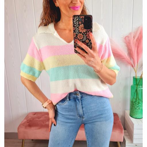 Polo Rayas Colores
