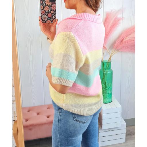 Polo Rayas Colores [2]