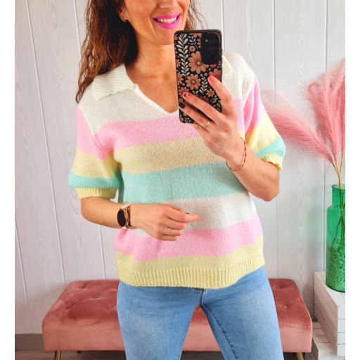 Polo Rayas Colores [2]