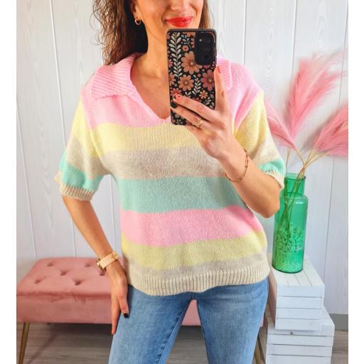 Polo Rayas Colores [1]