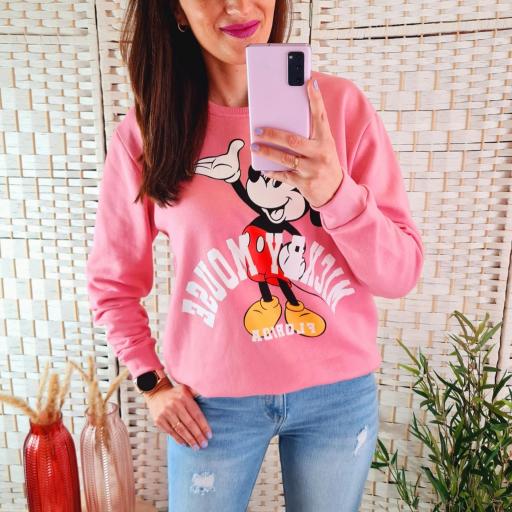 Sudadera Florida Rosa [0]