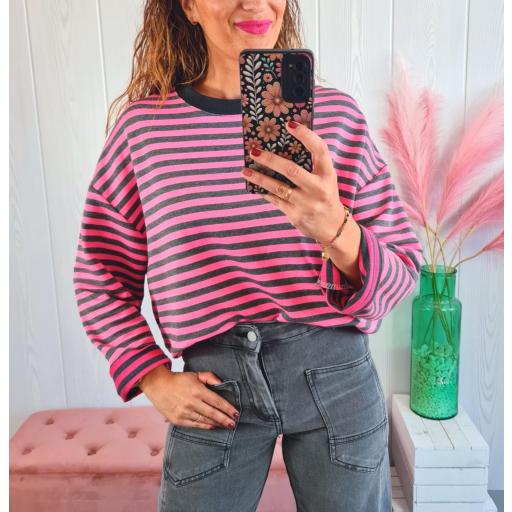 Sudadera Rayas Rosa [0]