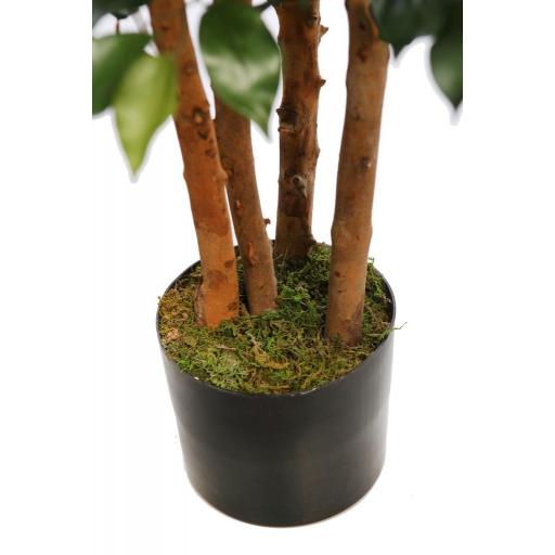 planta Ficus artificial 150 cm [1]