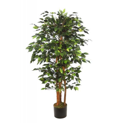 planta Ficus artificial 150 cm
