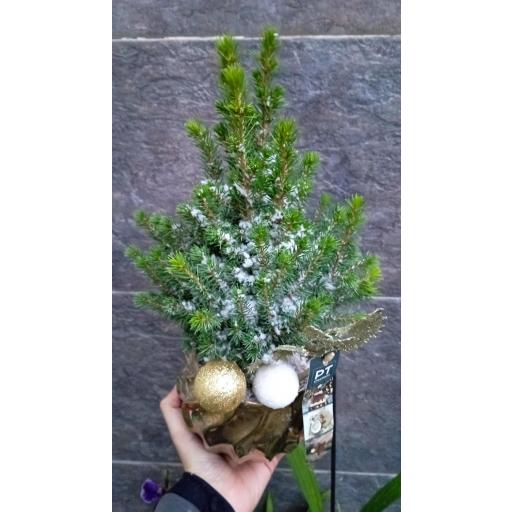 Arbol Picea Nevado Decorado