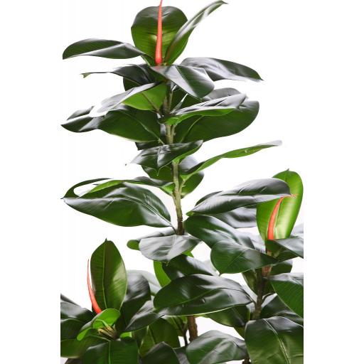 Planta ficus artificial 130 cm [1]